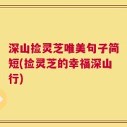 深山捡灵芝唯美句子简短(捡灵芝的幸福深山行)