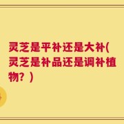 灵芝是平补还是大补(灵芝是补品还是调补植物？)