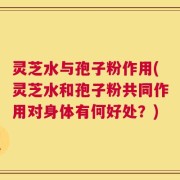 灵芝水与孢子粉作用(灵芝水和孢子粉共同作用对身体有何好处？)