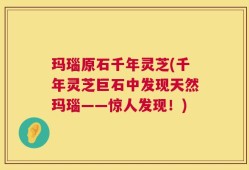 玛瑙原石千年灵芝(千年灵芝巨石中发现天然玛瑙——惊人发现！)