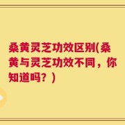桑黄灵芝功效区别(桑黄与灵芝功效不同，你知道吗？)