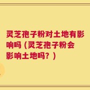 灵芝孢子粉对土地有影响吗 (灵芝孢子粉会影响土地吗？)