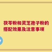 茯苓粉和灵芝孢子粉的搭配效果及注意事项