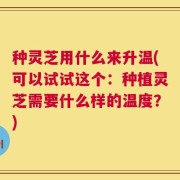 种灵芝用什么来升温(可以试试这个：种植灵芝需要什么样的温度？)