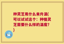 种灵芝用什么来升温(可以试试这个：种植灵芝需要什么样的温度？)
