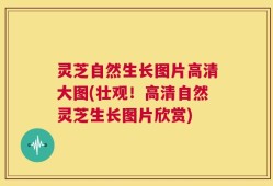 灵芝自然生长图片高清大图(壮观！高清自然灵芝生长图片欣赏)