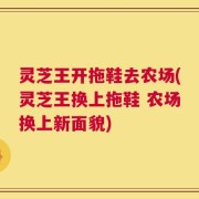 灵芝王开拖鞋去农场(灵芝王换上拖鞋 农场换上新面貌)