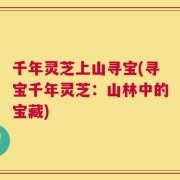 千年灵芝上山寻宝(寻宝千年灵芝：山林中的宝藏)