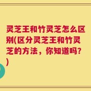 灵芝王和竹灵芝怎么区别(区分灵芝王和竹灵芝的方法，你知道吗？)