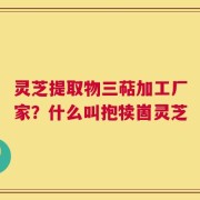 灵芝提取物三萜加工厂家？什么叫抱犊崮灵芝