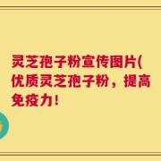灵芝孢子粉宣传图片(优质灵芝孢子粉，提高免疫力！
