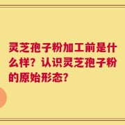 灵芝孢子粉加工前是什么样？认识灵芝孢子粉的原始形态？