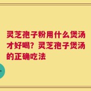灵芝孢子粉用什么煲汤才好喝？灵芝孢子煲汤的正确吃法