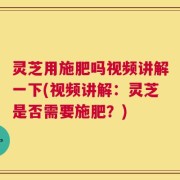 灵芝用施肥吗视频讲解一下(视频讲解：灵芝是否需要施肥？)