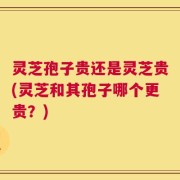 灵芝孢子贵还是灵芝贵(灵芝和其孢子哪个更贵？)