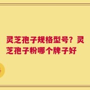 灵芝孢子规格型号？灵芝孢子粉哪个牌子好