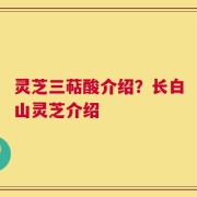 灵芝三萜酸介绍？长白山灵芝介绍