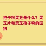 孢子粉灵芝是什么？灵芝片和灵芝孢子粉的区别