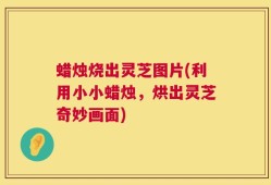 蜡烛烧出灵芝图片(利用小小蜡烛，烘出灵芝奇妙画面)
