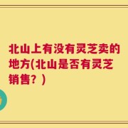 北山上有没有灵芝卖的地方(北山是否有灵芝销售？)