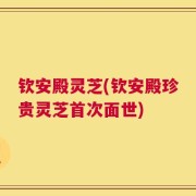 钦安殿灵芝(钦安殿珍贵灵芝首次面世)