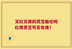 又红又厚的灵芝能吃吗红厚灵芝可否食用？