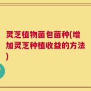 灵芝植物菌包菌种(增加灵芝种植收益的方法)