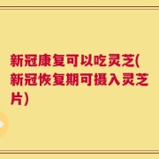 新冠康复可以吃灵芝(新冠恢复期可摄入灵芝片)