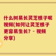 什么树易长灵芝根子呢视频(如何让灵芝根子更容易生长？- 视频分享)