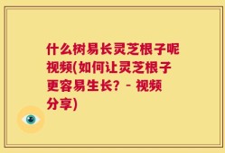 什么树易长灵芝根子呢视频(如何让灵芝根子更容易生长？- 视频分享)