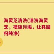 海灵芝清洗(清洗海灵芝，祛除污垢，让其回归纯净)