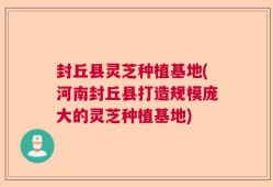 封丘县灵芝种植基地(河南封丘县打造规模庞大的灵芝种植基地)