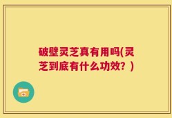 破壁灵芝真有用吗(灵芝到底有什么功效？)