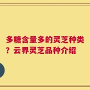 多糖含量多的灵芝种类？云界灵芝品种介绍