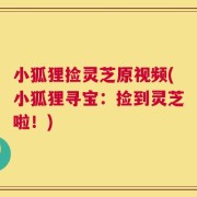小狐狸捡灵芝原视频(小狐狸寻宝：捡到灵芝啦！)