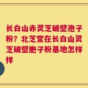 长白山赤灵芝破壁孢子粉？北芝堂在长白山灵芝破壁胞子粉基地怎样样