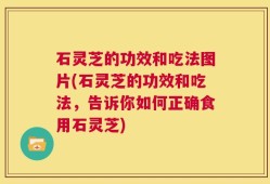 石灵芝的功效和吃法图片(石灵芝的功效和吃法，告诉你如何正确食用石灵芝)