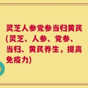 灵芝人参党参当归黄芪(灵芝、人参、党参、当归、黄芪养生，提高免疫力)
