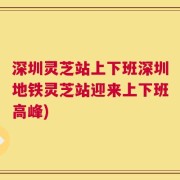 深圳灵芝站上下班深圳地铁灵芝站迎来上下班高峰)