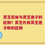 灵芝实体与灵芝孢子的区别？灵芝片和灵芝孢子粉的区别