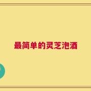 最简单的灵芝泡酒