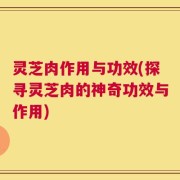 灵芝肉作用与功效(探寻灵芝肉的神奇功效与作用)