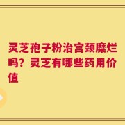灵芝孢子粉治宫颈糜烂吗？灵芝有哪些药用价值