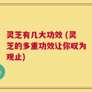 灵芝有几大功效 (灵芝的多重功效让你叹为观止)