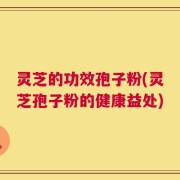 灵芝的功效孢子粉(灵芝孢子粉的健康益处)