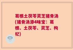 葛根土茯苓灵芝猪骨汤(猪骨汤添4味宝：葛根、土茯苓、灵芝、枸杞)