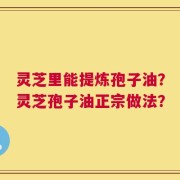 灵芝里能提炼孢子油？灵芝孢子油正宗做法？