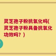 灵芝孢子粉抗氧化吗(灵芝孢子粉具备抗氧化功效吗？)