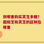 到哪里购买灵芝多糖？茵阳芝和灵芝的区别在哪里