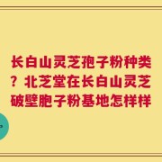 长白山灵芝孢子粉种类？北芝堂在长白山灵芝破壁胞子粉基地怎样样